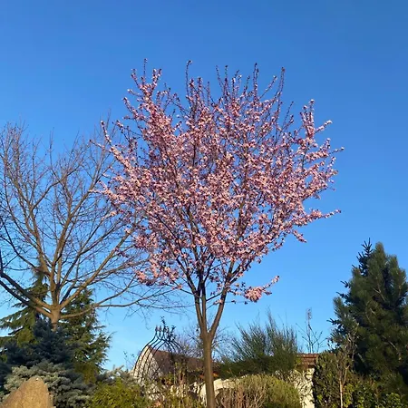 Herrmann Διαμέρισμα *